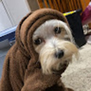 Meet your Posher, Katrina